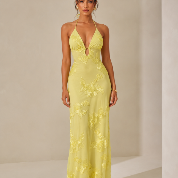 SHELLA — Robe longue dos nu col licou à broderie florale 3D & détail keyhole / 3D Floral Appliqué Halter Keyhole Maxi Dress / فستان طويل برقبة هالتر وتطريز ورود ثلاثي الأبعاد وفتحة كي هول